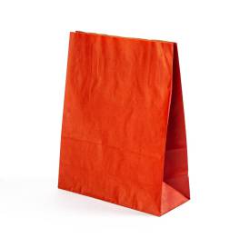 Paper Bag 24